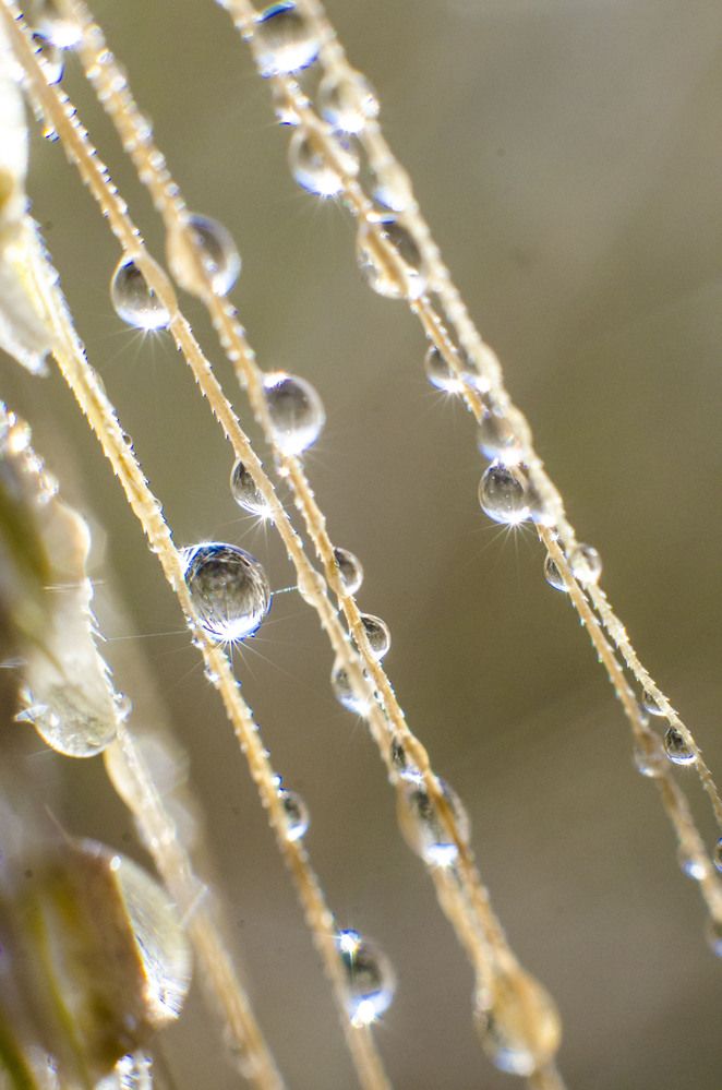 Фотография автора Александр Высотских