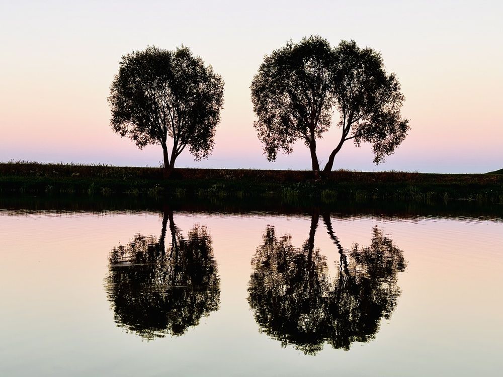Photograph by Ольга Чибисова