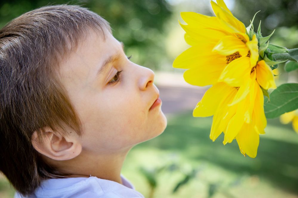 Фотография автора Станислава Гордеева