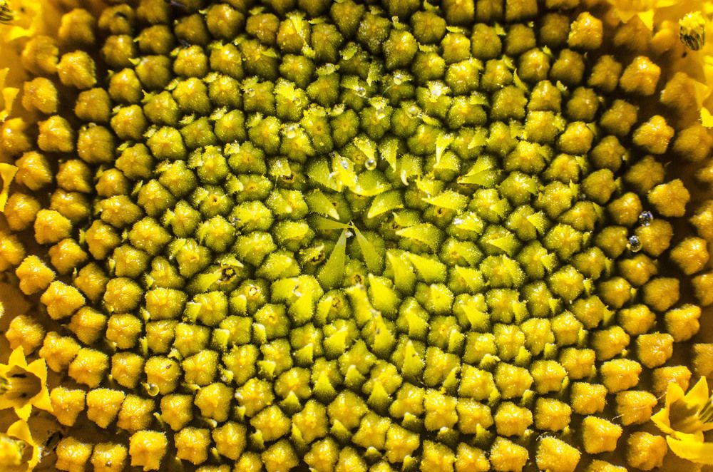 Фотография автора Александр Высотских