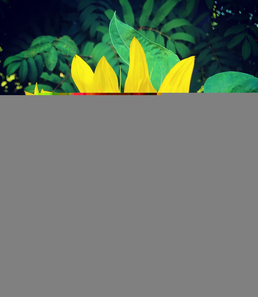 Photograph by Ксения Гулькова