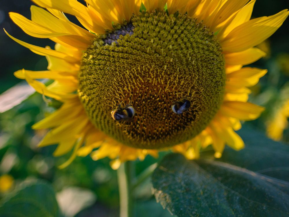 Photograph by Дмитрий Емельянов