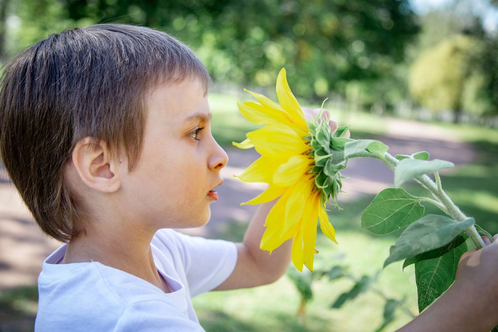 Фотография автора Станислава Гордеева