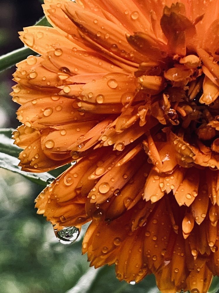 Photograph by Ирина Селиверстова