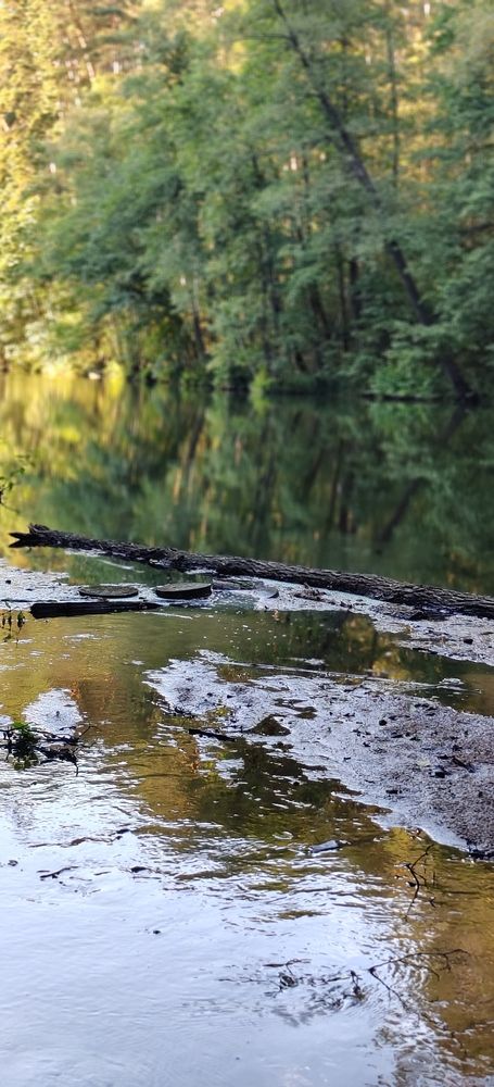 Photograph by Татьяна Нестерова
