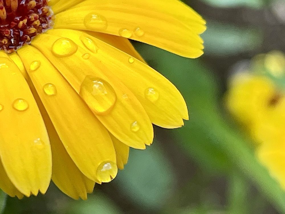 Photograph by Ирина Селиверстова