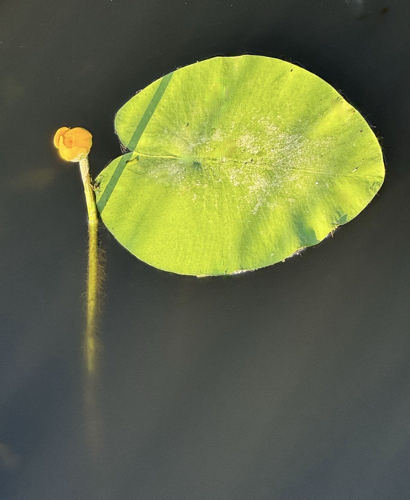Photograph by Анна Березина