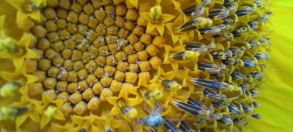 Фотография автора Александр Кожевников