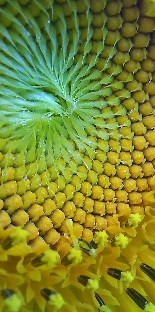 Фотография автора Александр Кожевников