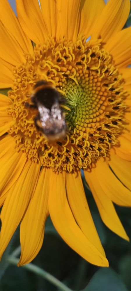 Photograph by Екатерина Александровна