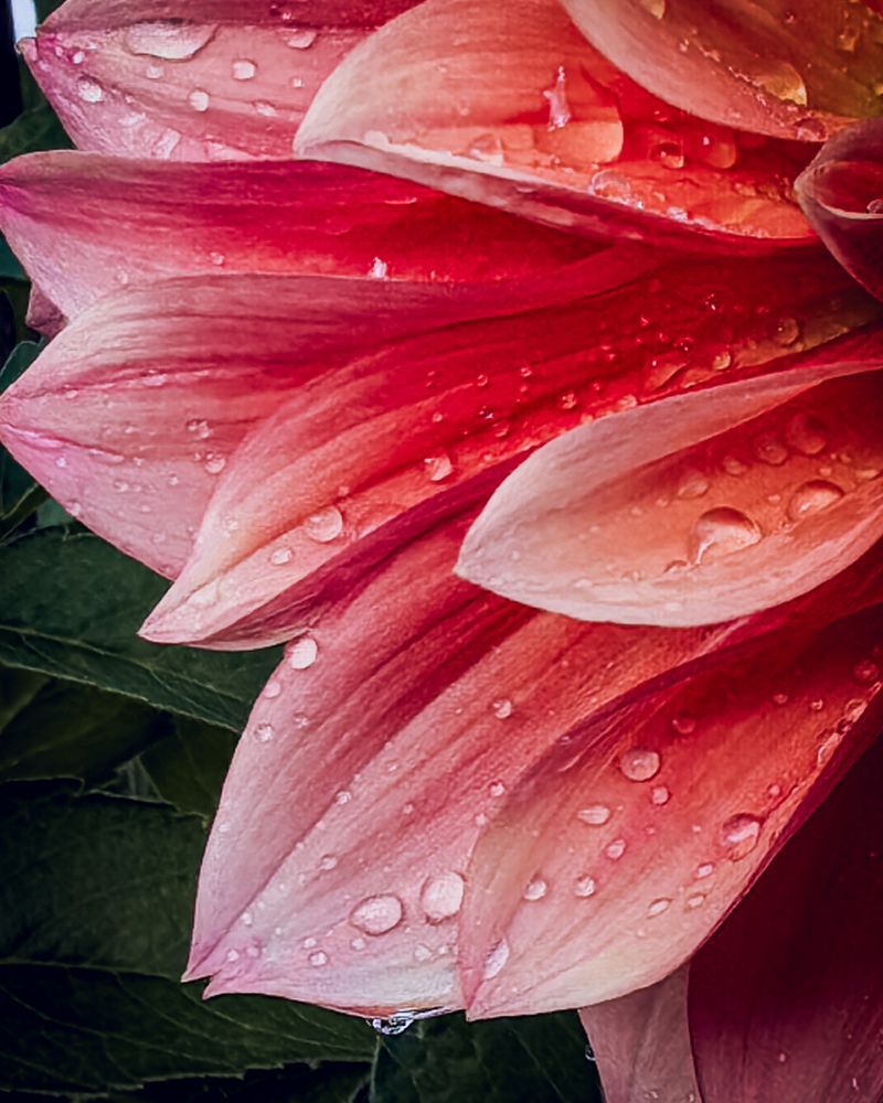 Photograph by Инна Невар