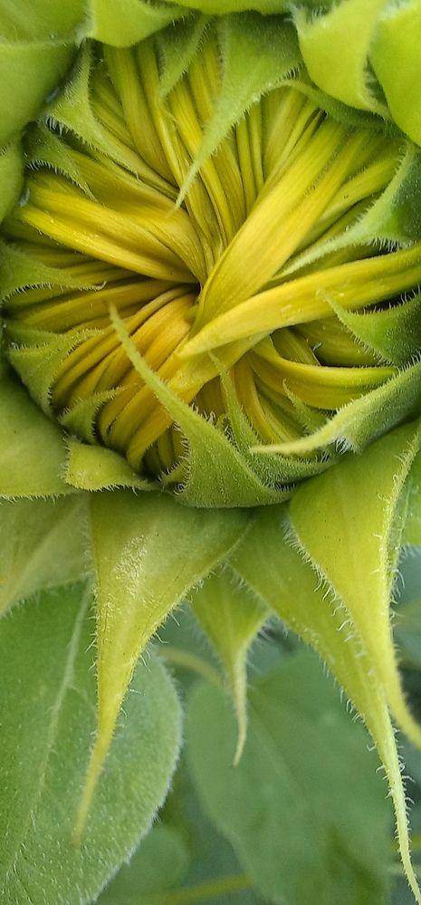 Фотография автора Александр Кожевников