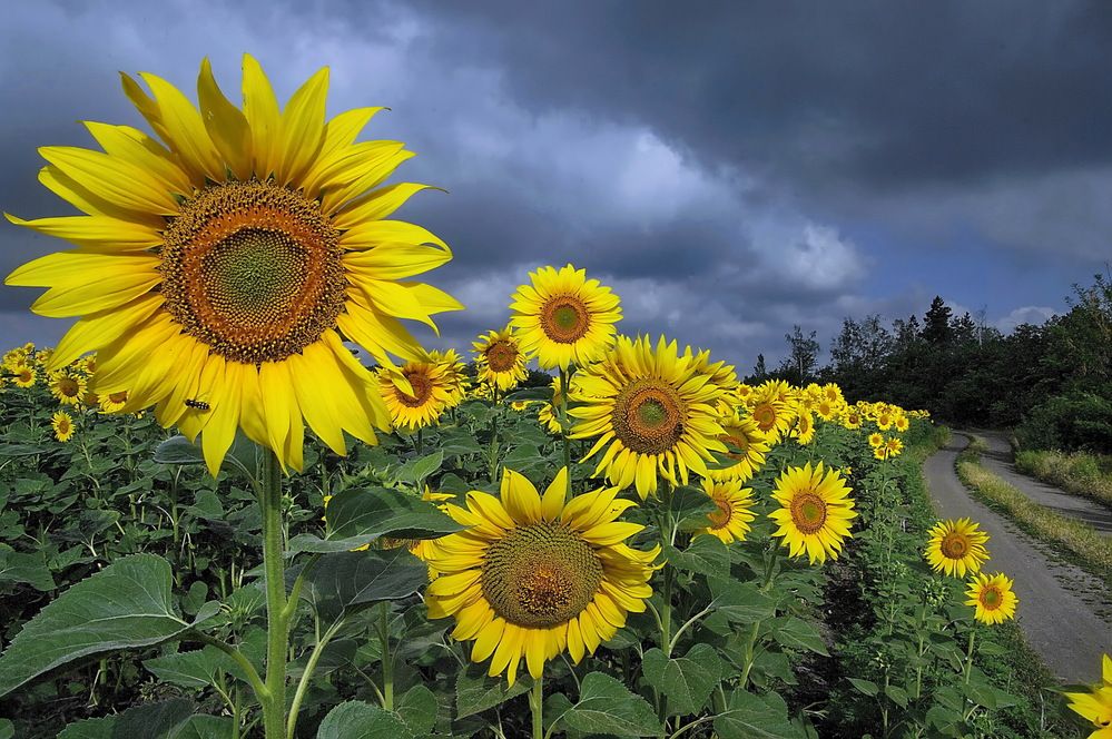 Photograph by Анатолий Святой