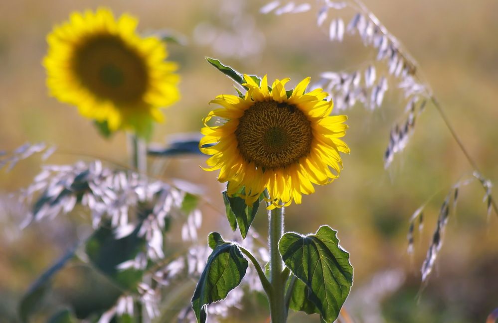 Photograph by Анатолий Святой