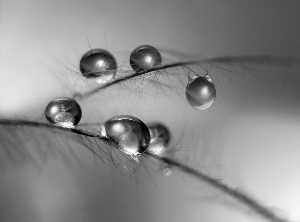 Photograph by Шипунова Ирина