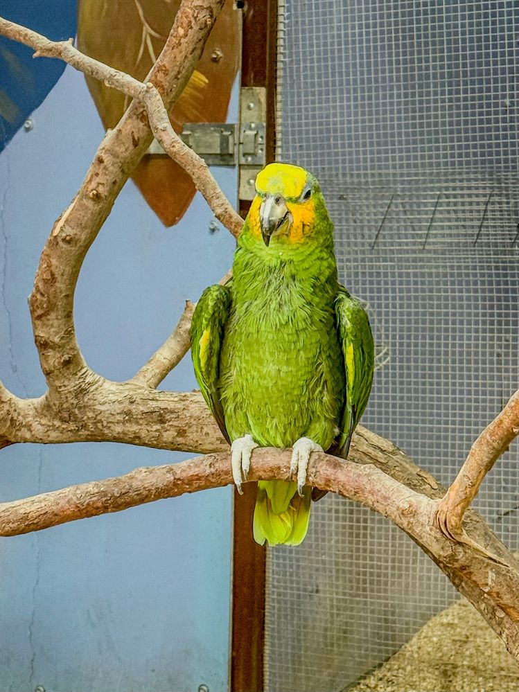 Photograph by Ekaterina Slepneva