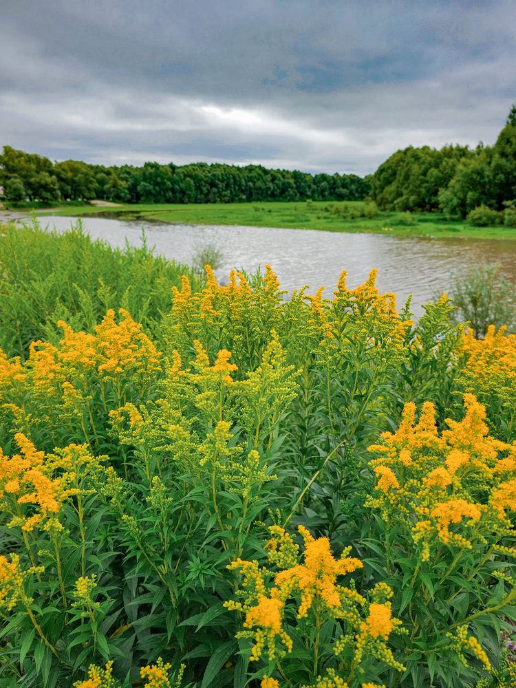 Photograph by Сергей Кесаев