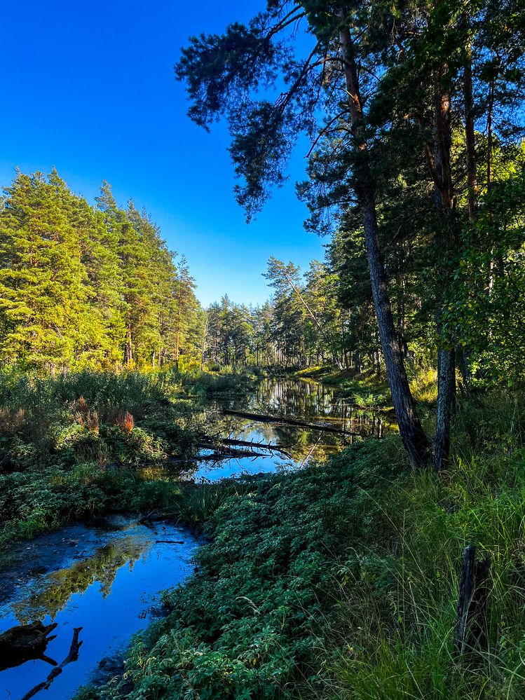 Photograph by Саша Корнюшин