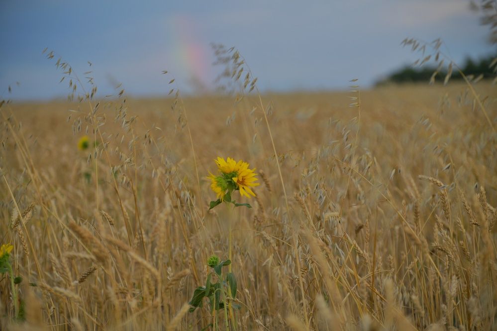 Photograph by Margareth Tikhonova