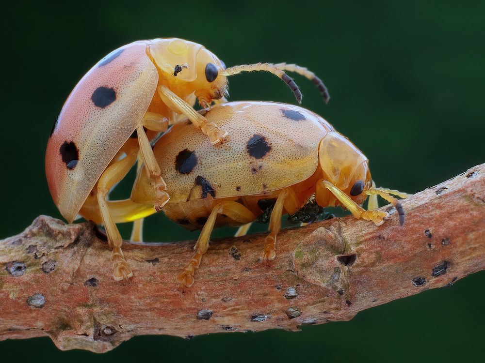 Photograph by Li Chen-You