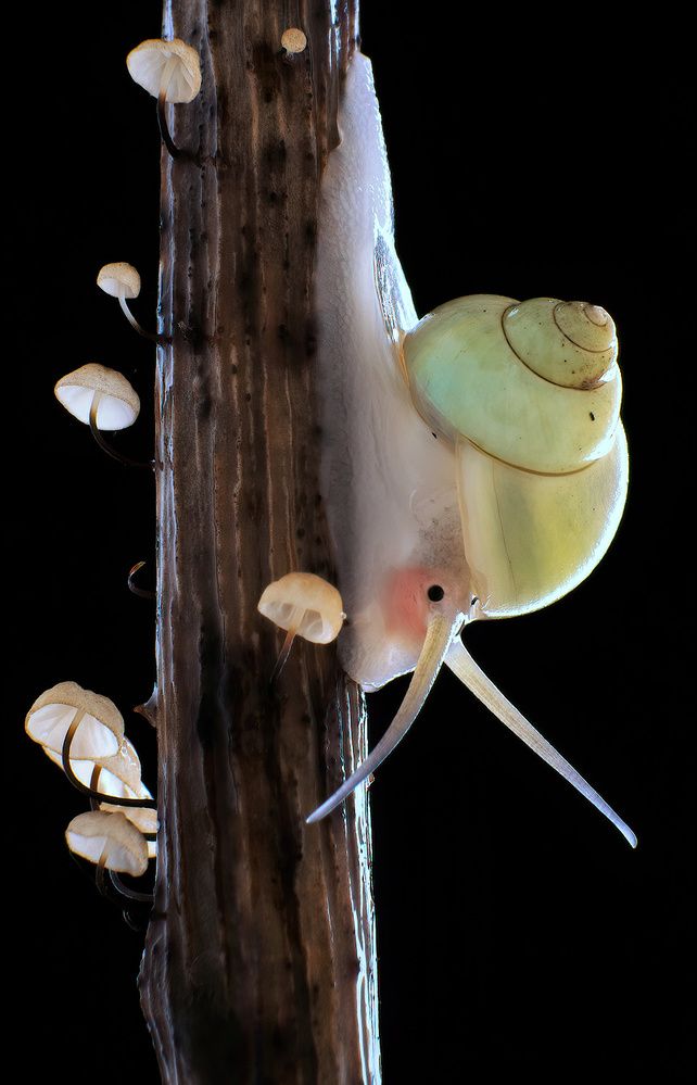 Photograph by Li Chen-You