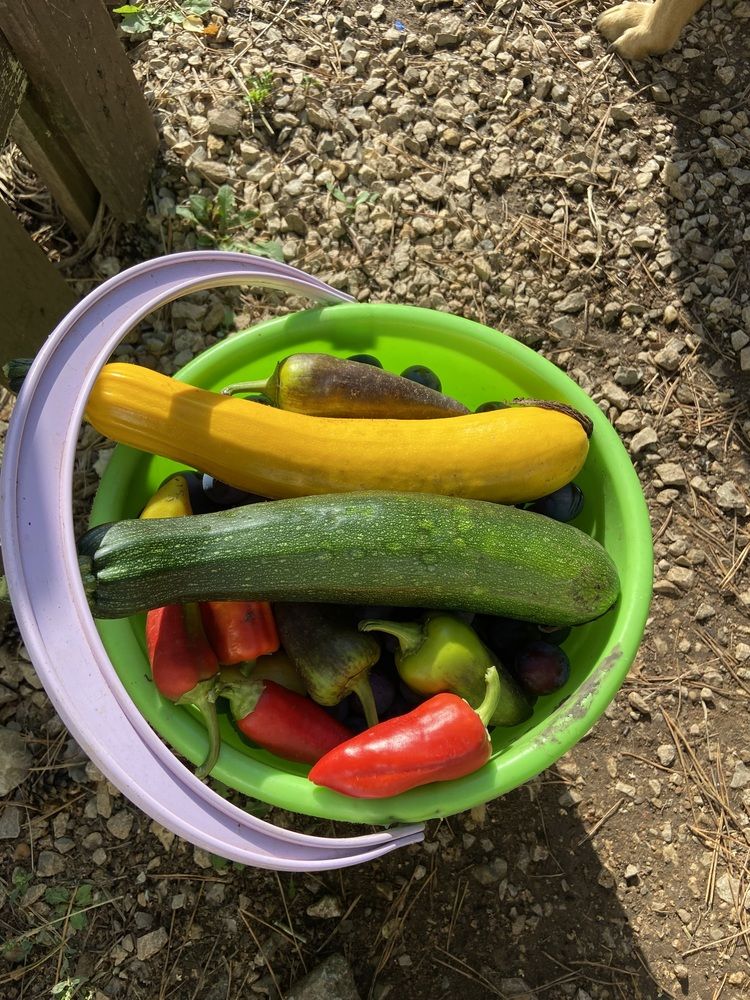 Photograph by Наталья Душакова