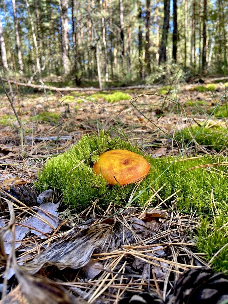 Photograph by Наталья Душакова