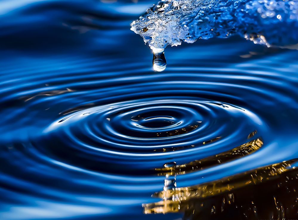 Photograph by Дмитрий Потапов