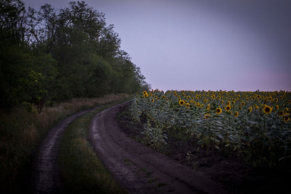 Photograph by Крупченко Роман