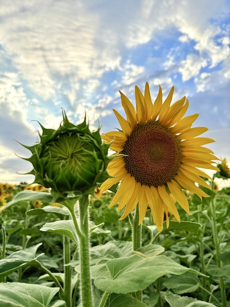 Photograph by Наталья Караблина