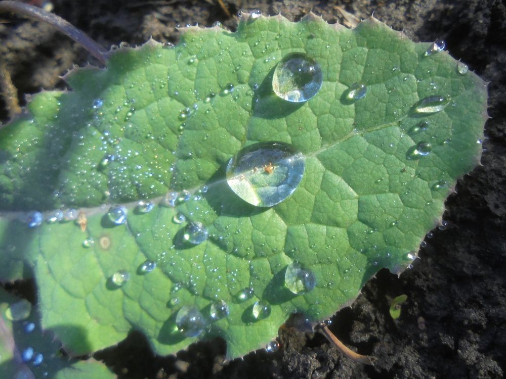 Photograph by Лилия Исхакова