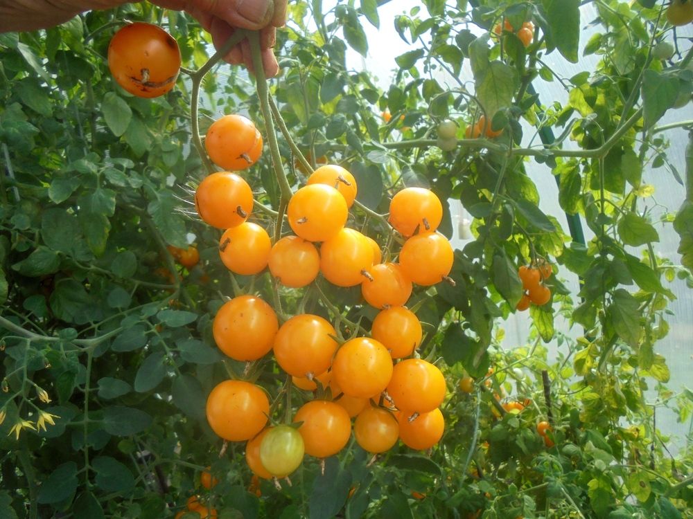 Photograph by Лилия Исхакова