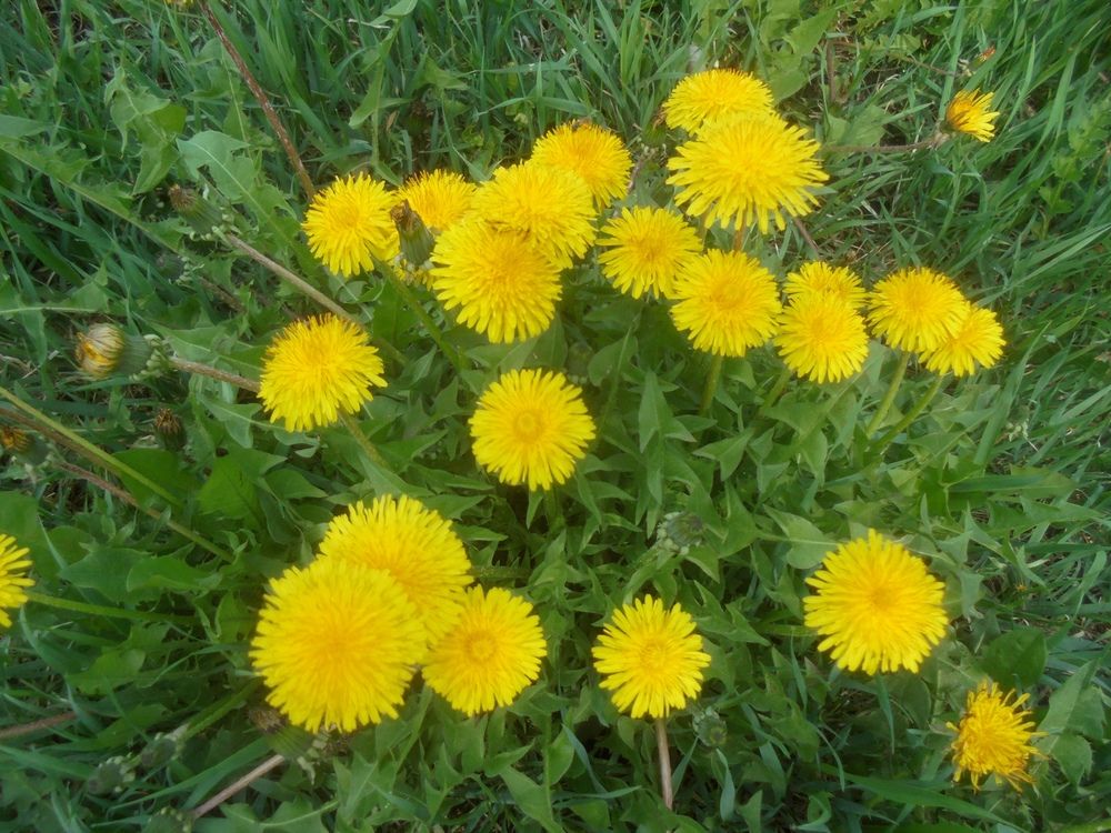 Photograph by Лилия Исхакова