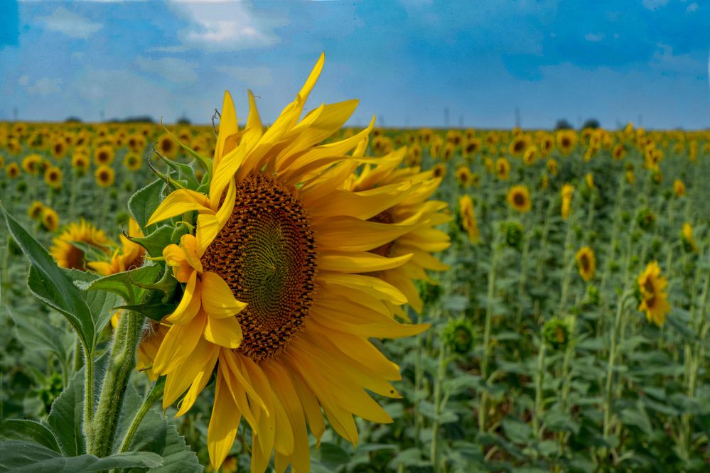 Photograph by Марина Вильдяева