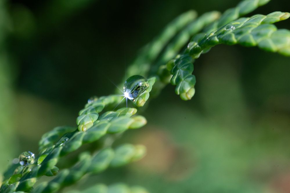 Photograph by Захаров Максим