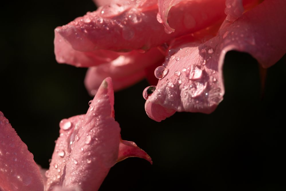 Photograph by Захаров Максим