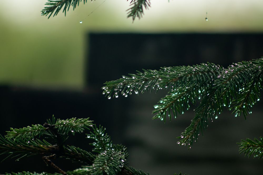 Photograph by Захаров Максим