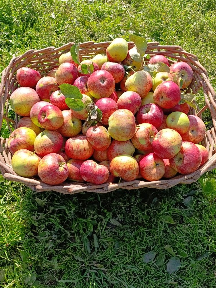 Photograph by Юрий Гордеев