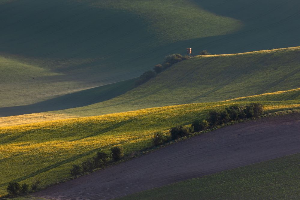 Photograph by Евгения Чех