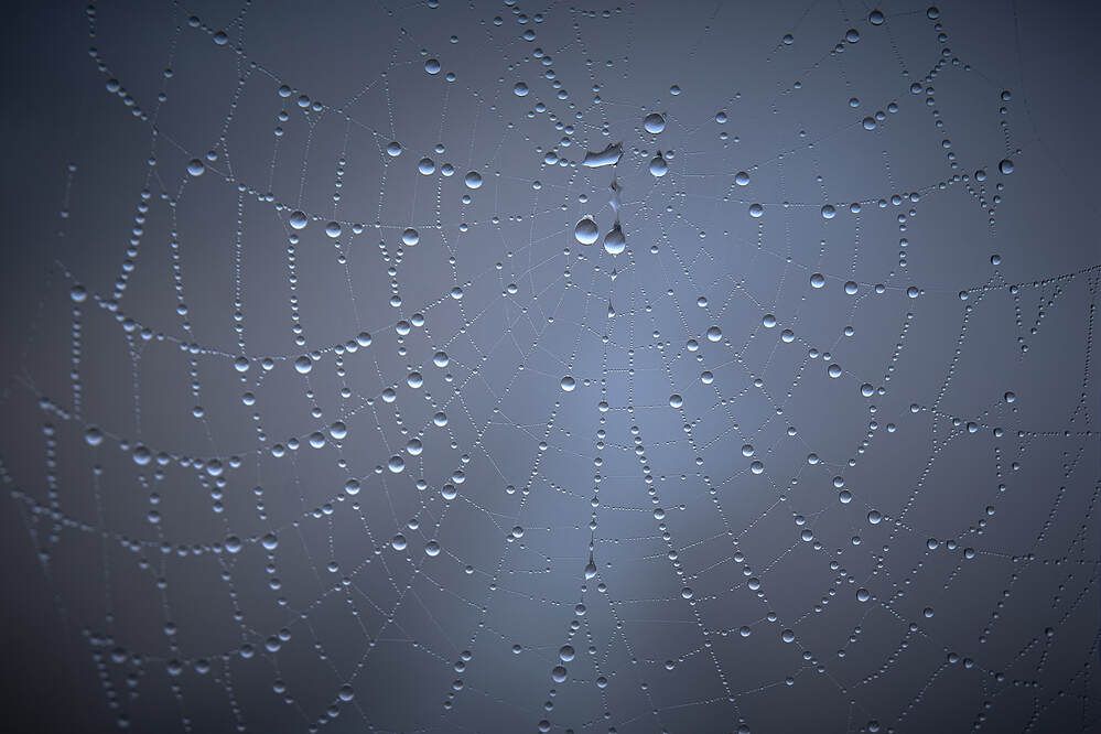 Photograph by Максим Карпович