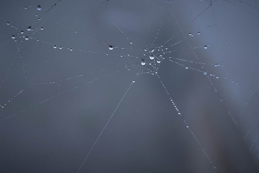 Photograph by Максим Карпович