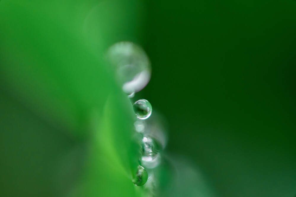 Photograph by Максим Карпович