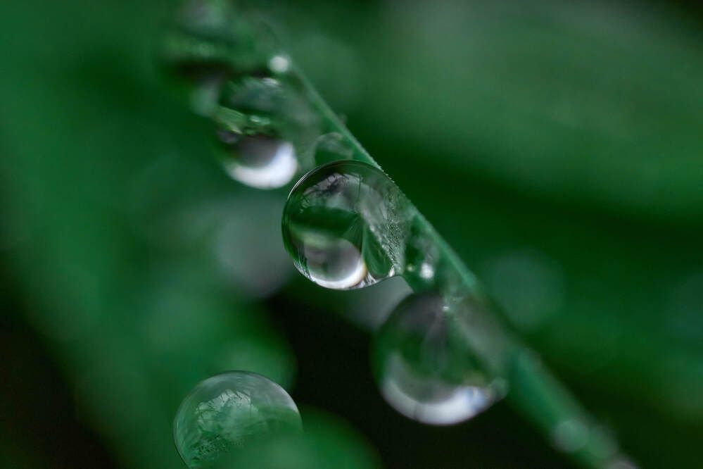 Photograph by Максим Карпович