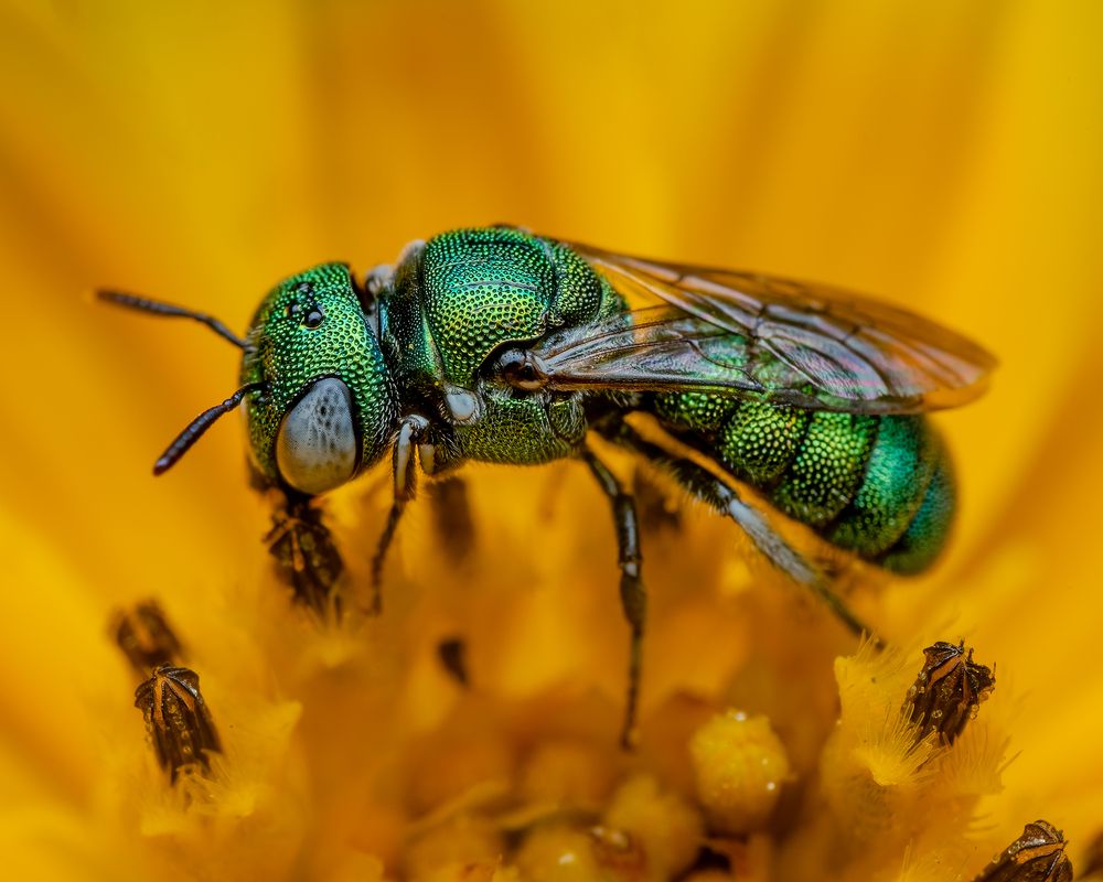 Photograph by Utkarsh Patil