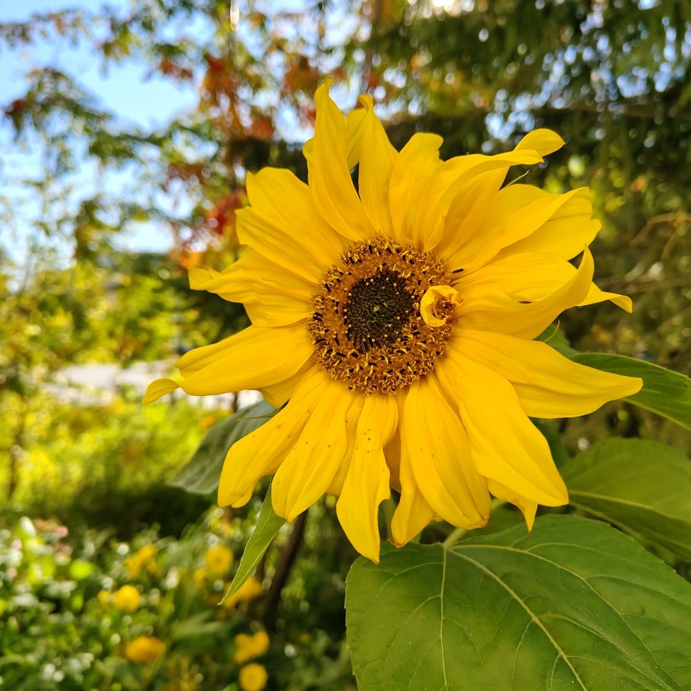 Photograph by Наталья Билай