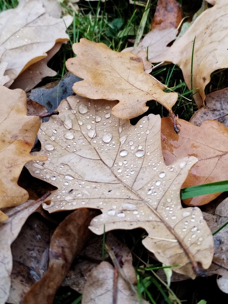 Photograph by Юлия Ю.