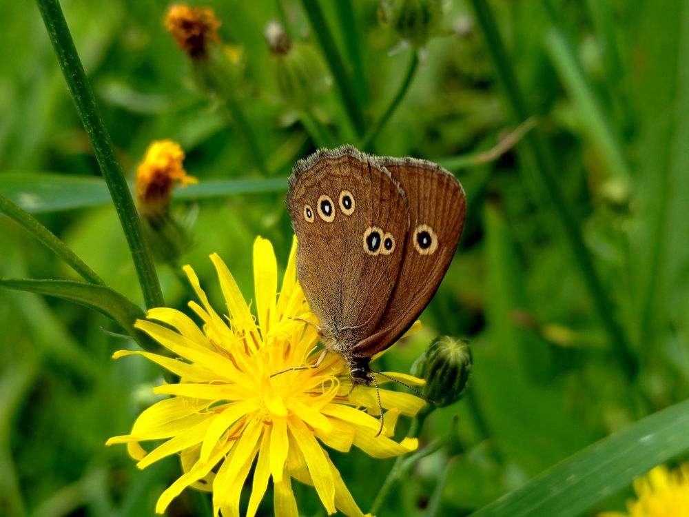 Фотография автора Jindřiška Kučerová