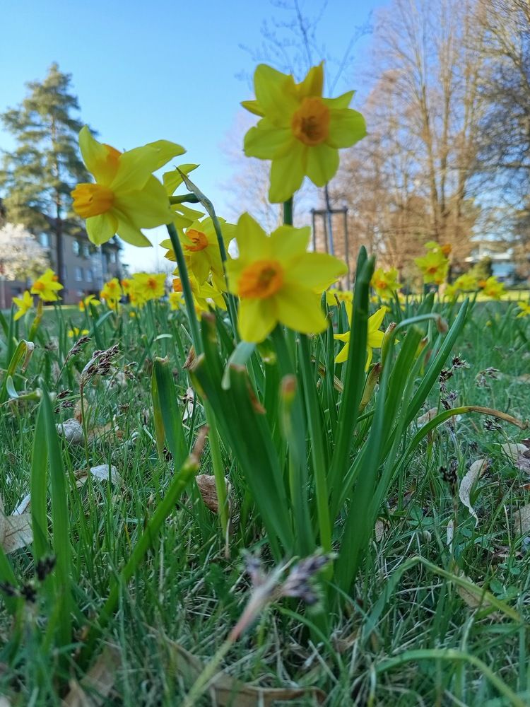 Фотография автора Jindřiška Kučerová