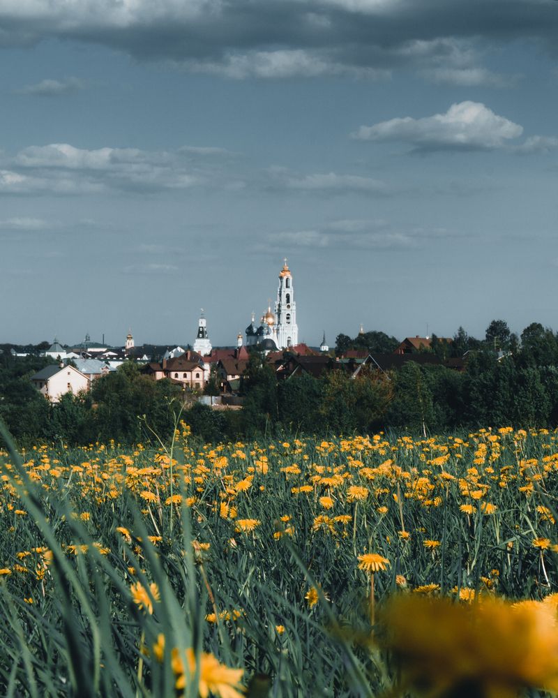 Фотография автора Nikolai Nikolin