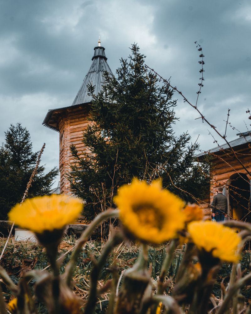 Фотография автора Nikolai Nikolin